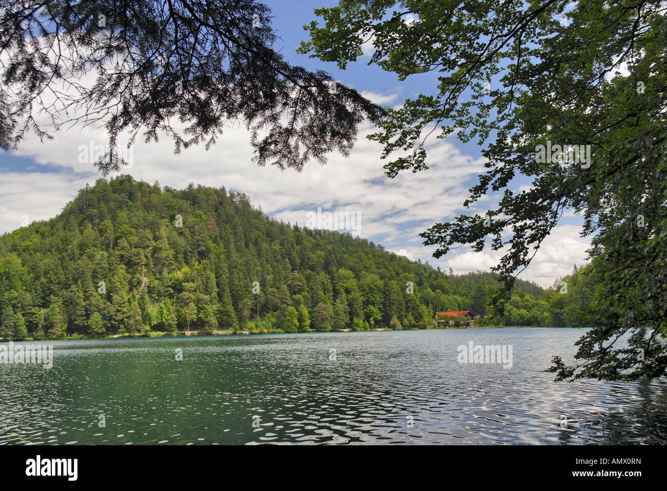 lake Alat, Germany, Bavaria, Allgaeu Stock Photo