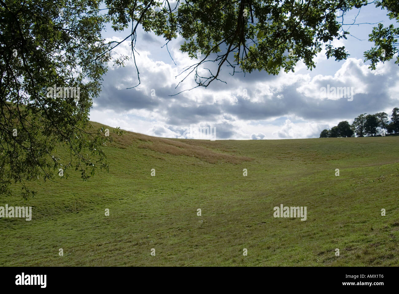 Overhanging tree hi-res stock photography and images - Alamy