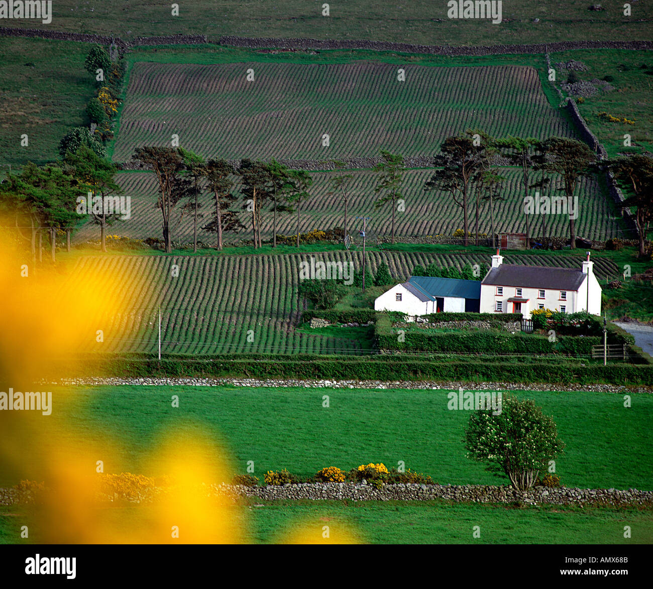 Mourne Mountains, County Down, Northern Ireland Stock Photo Alamy