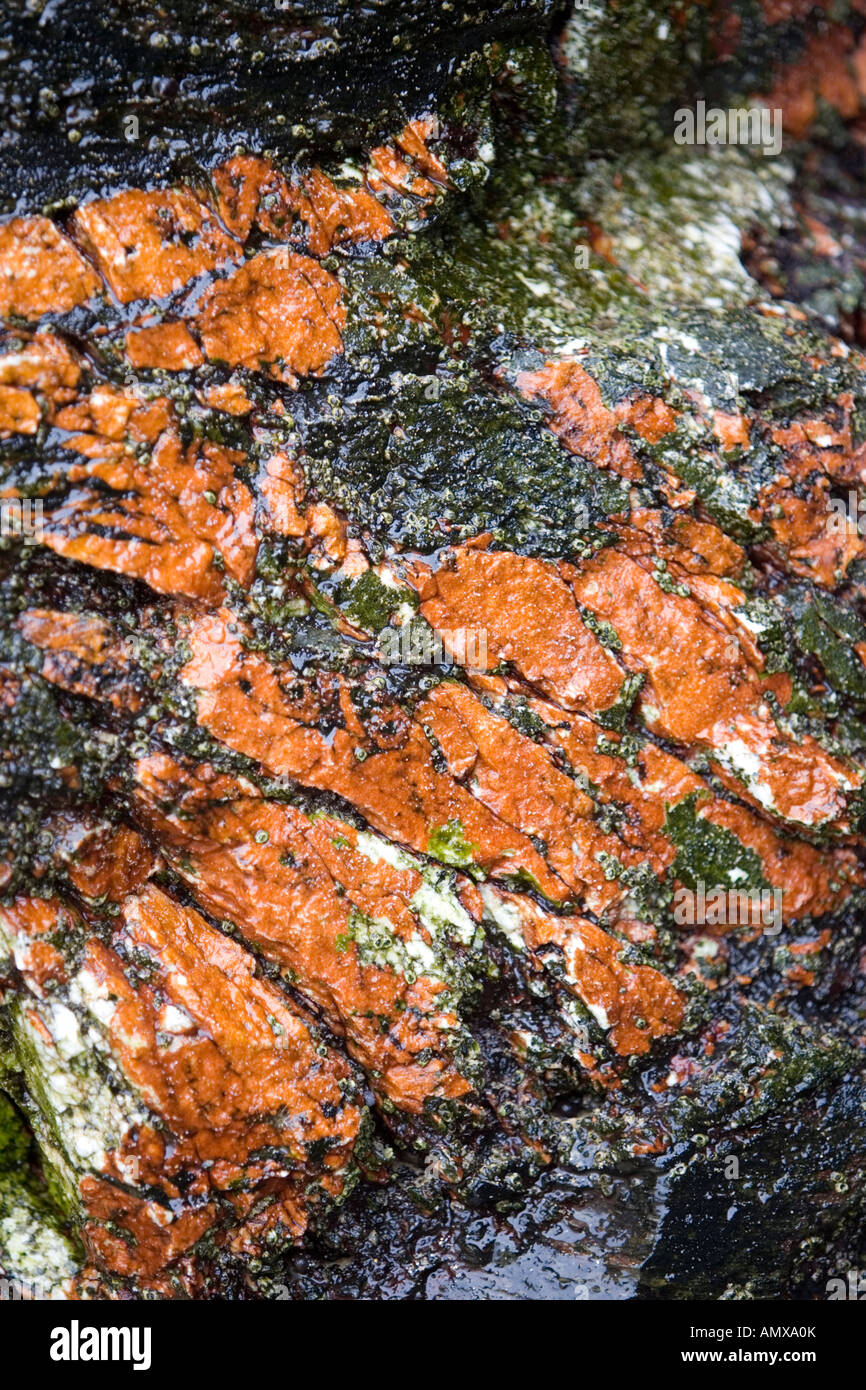 Green and Orange rocks on the beach Stock Photo - Alamy