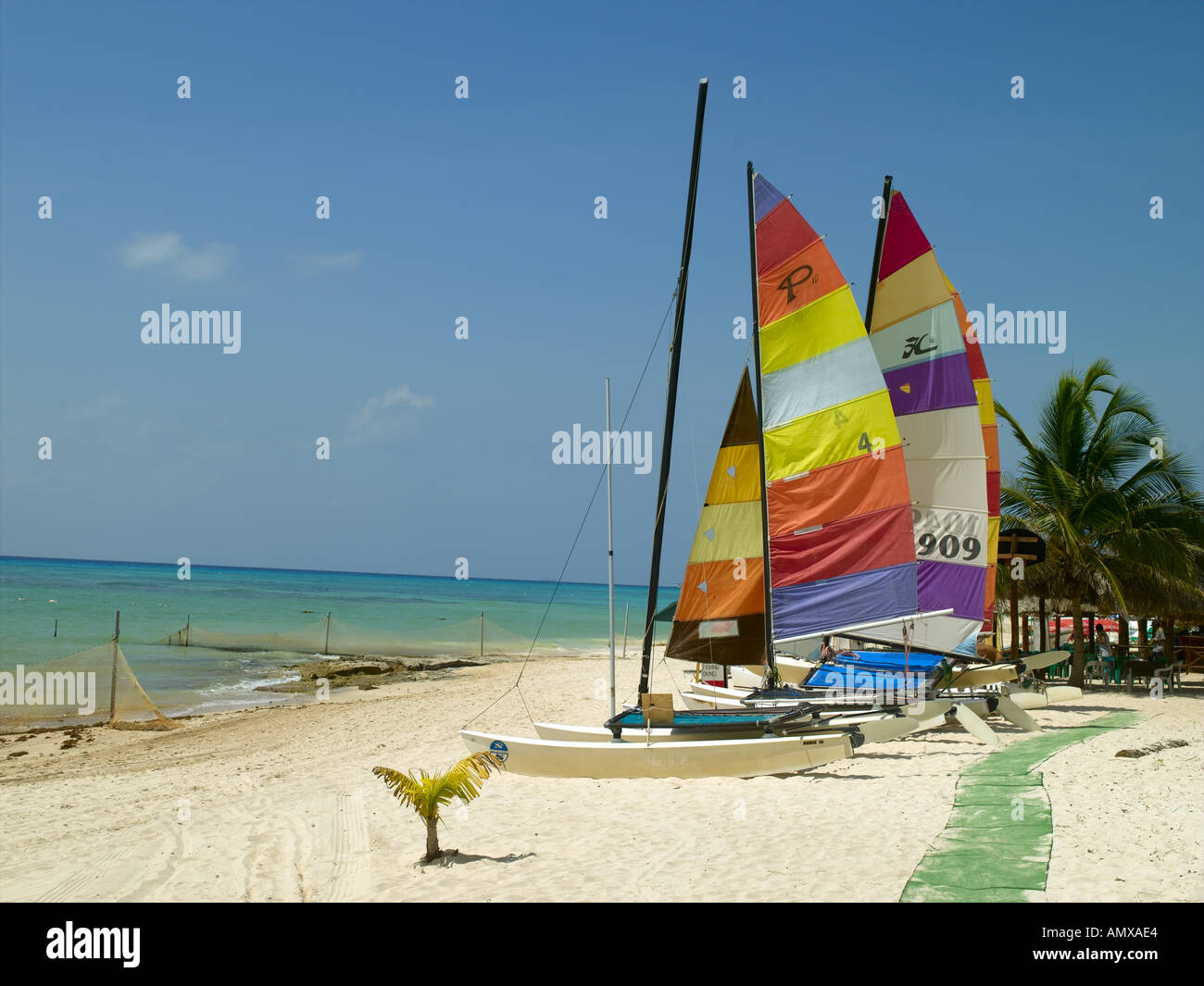 Playa Del Carmen, Sailing Boats On The Beach Stock Photo Alamy