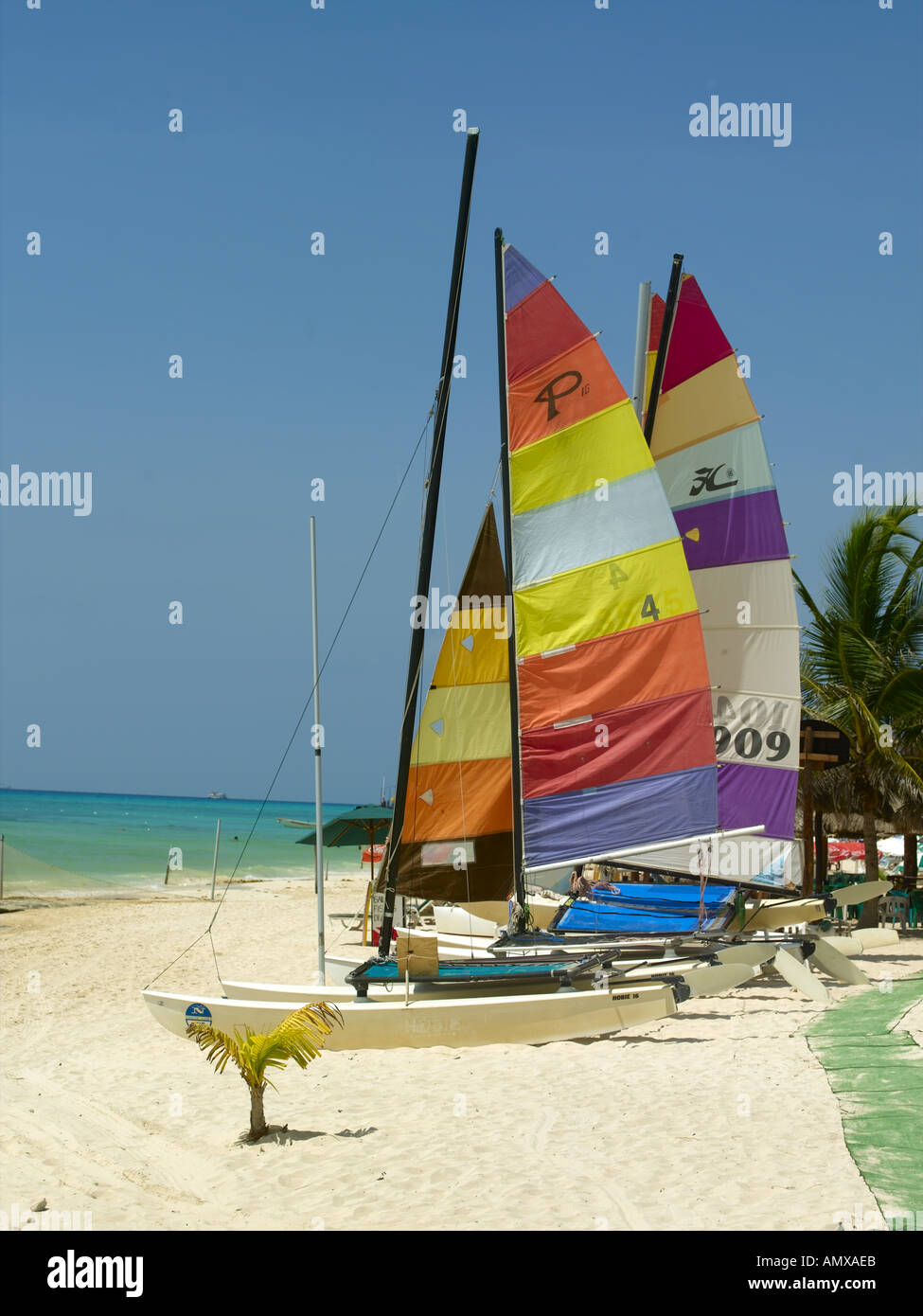 Playa Del Carmen, Sailing Boats On The Beach Stock Photo Alamy