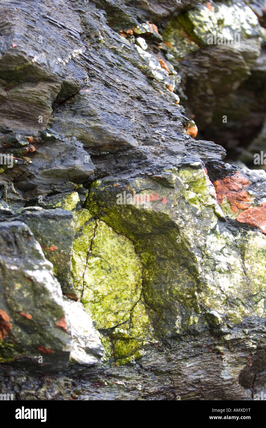 Green and Orange rocks on the beach Stock Photo - Alamy