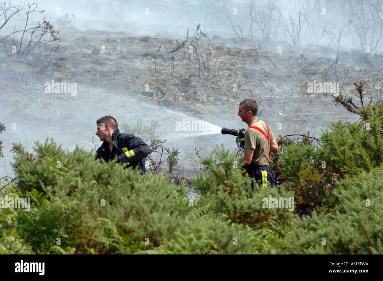 Firemen fighting a heath fire in Dorset Britain UK Stock Photo