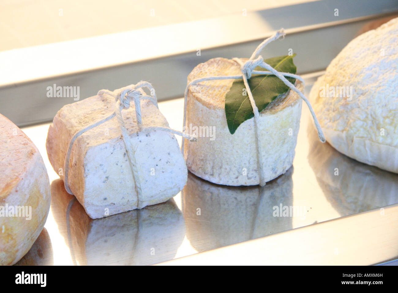 Close-up of assorted cheeses Stock Photo