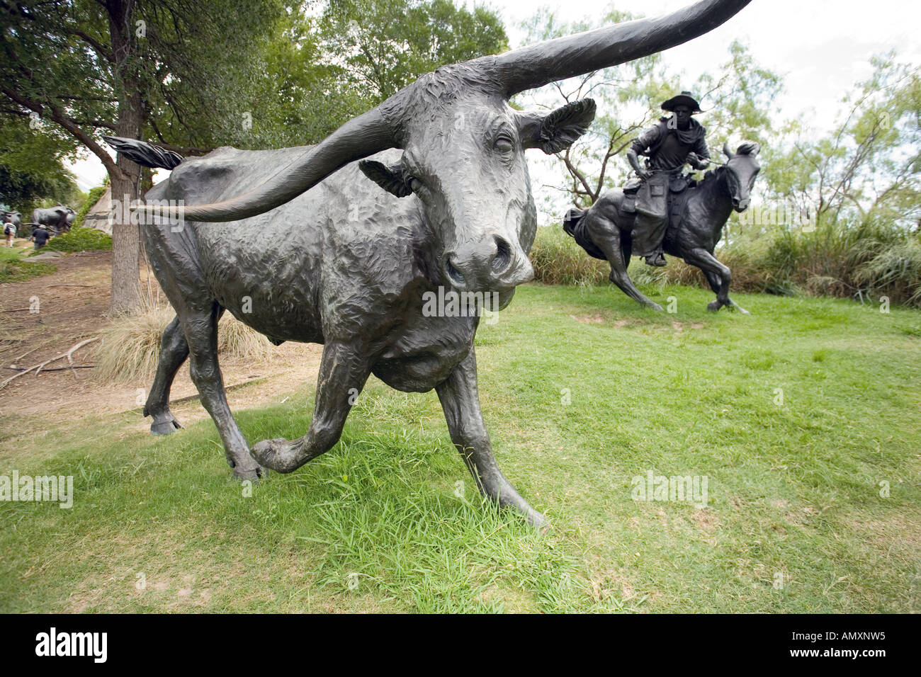 Texas longhorn cattle sculpture pioneer hires stock photography and