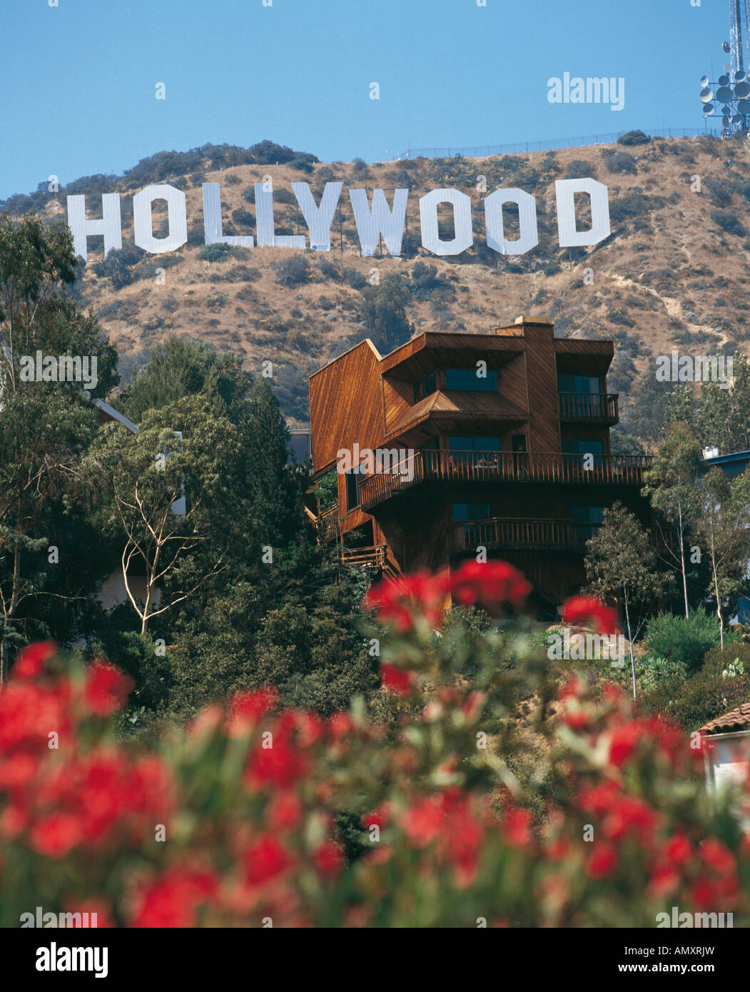 The World Famous Landmark Hollywood Sign Stock Photo - Download Image Now -  Hollywood Sign, Sign, Hollywood - California - iStock, image size:1051x1390