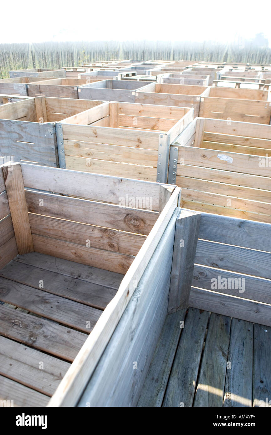 Stack of wooden boxes on landscape, Kent, England Stock Photo