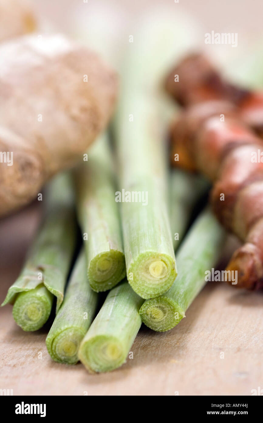 Close up spring onion roots hi-res stock photography and images - Alamy