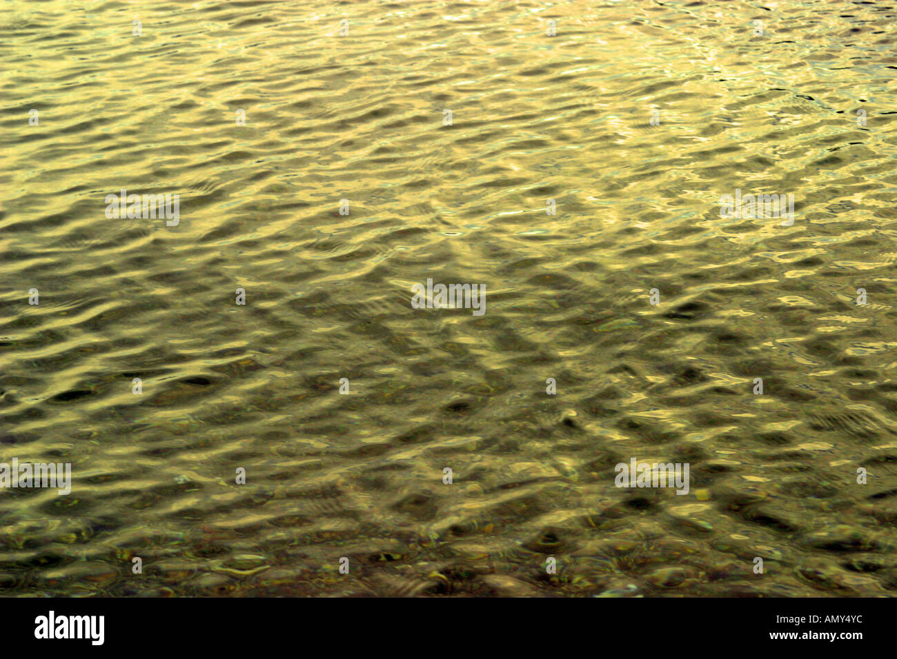Sun reflecting in the water surface Stock Photo - Alamy