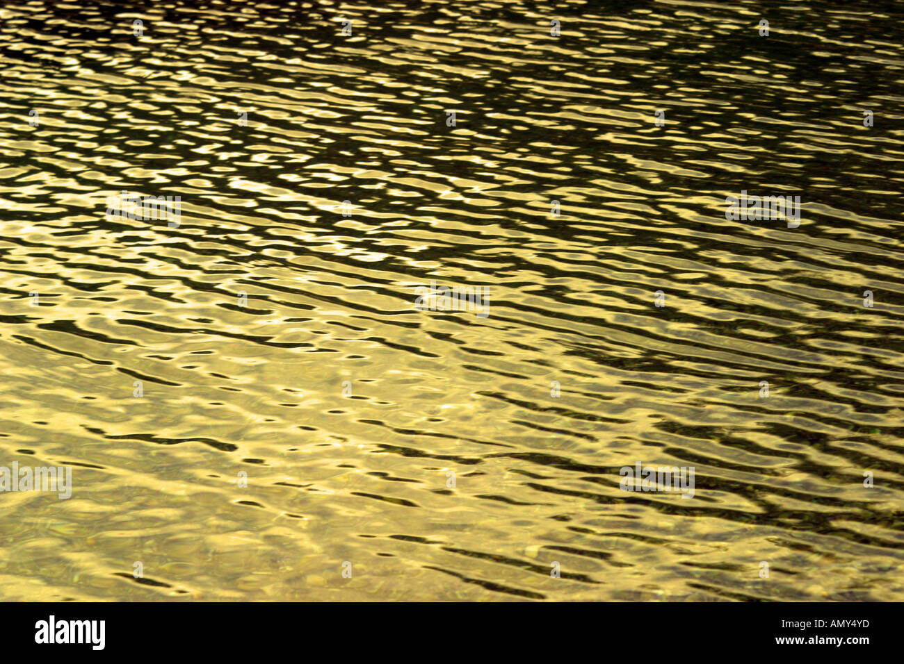 Sun reflecting in the water surface Stock Photo - Alamy