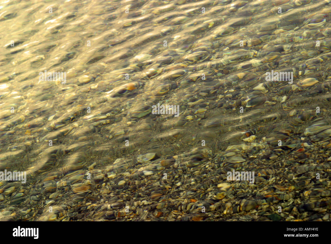 Sun reflecting in the water surface Stock Photo - Alamy