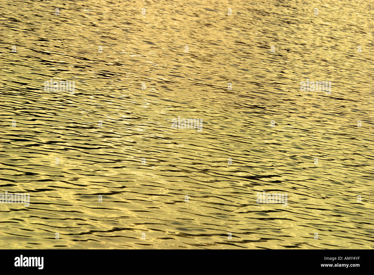Sun reflecting in the water surface Stock Photo - Alamy