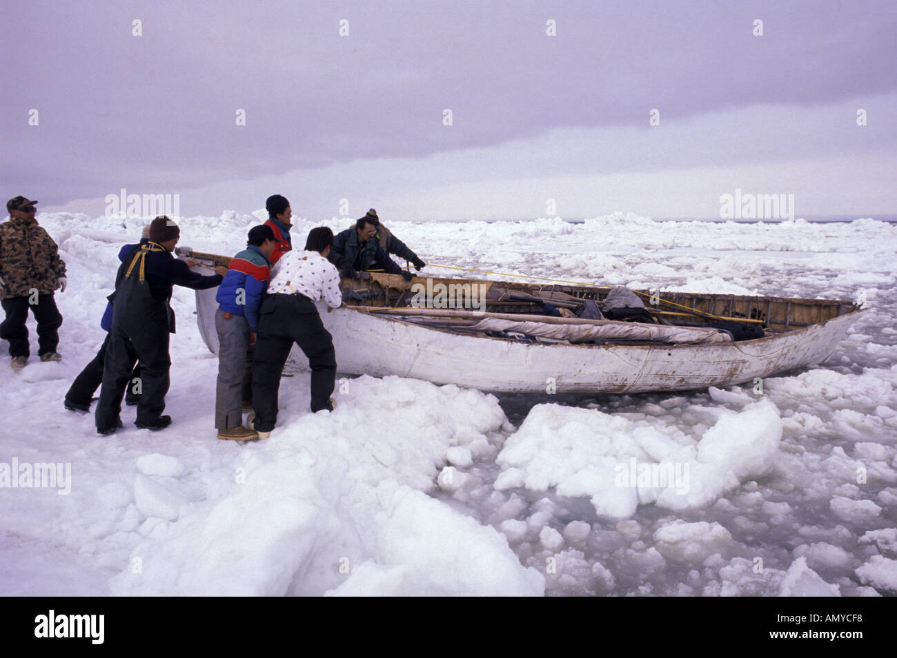 Alaskan Native Hunters Launch Skin Boat Whaling AK Gambell Island Stock Photo