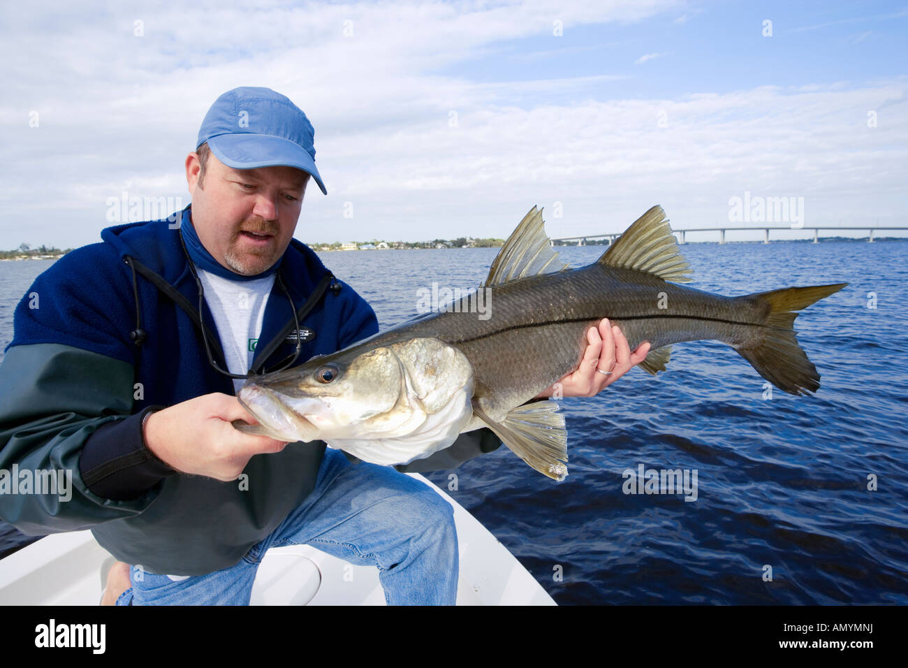 Man holding freshly caught snook fish in Stuart, Florida, USA Stock