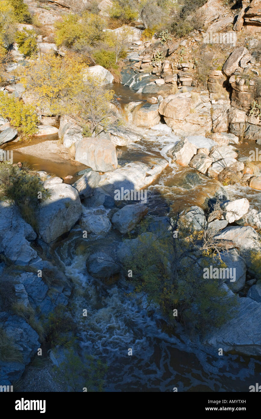 Tanque Verde Creek Reddington Pass Tucson Arizona Stock Photo Alamy