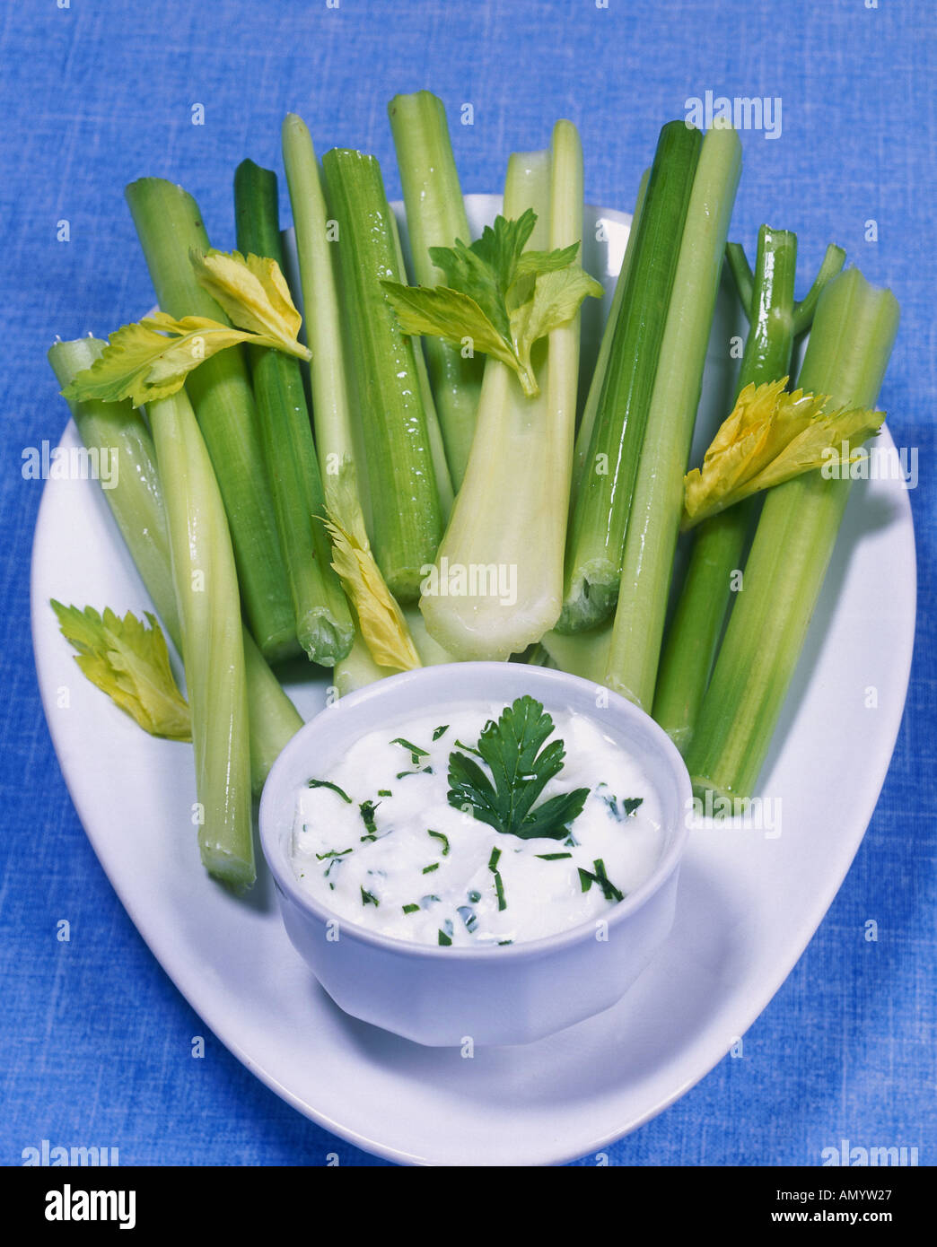 Petiolate Celery With Cottage Cheese Dip Stock Photo 5016870 Alamy