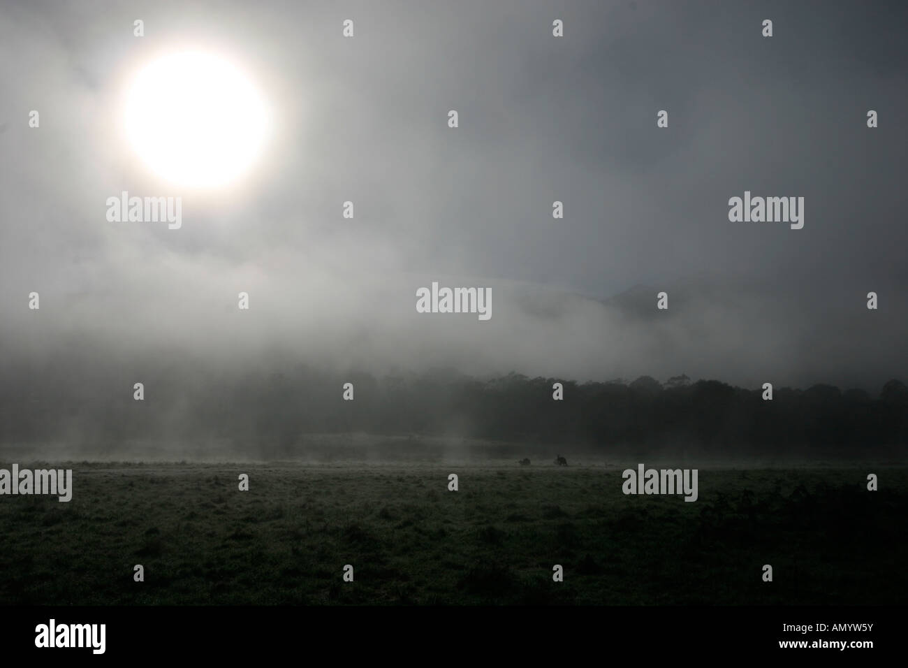 Sunrise early morning with fog Stock Photo - Alamy