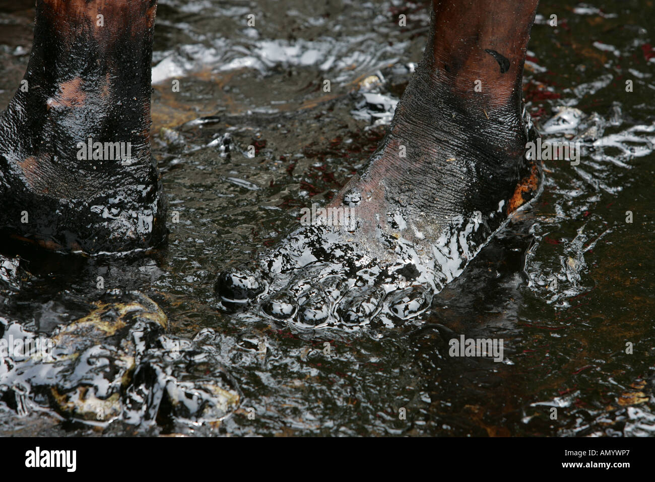 Oil Pollution, Philippines Stock Photo