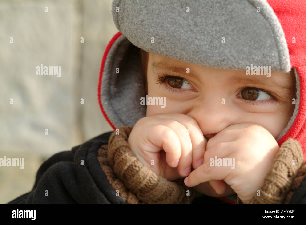 A cute child rubs his nose with his hands on a sunny winter's day Stock