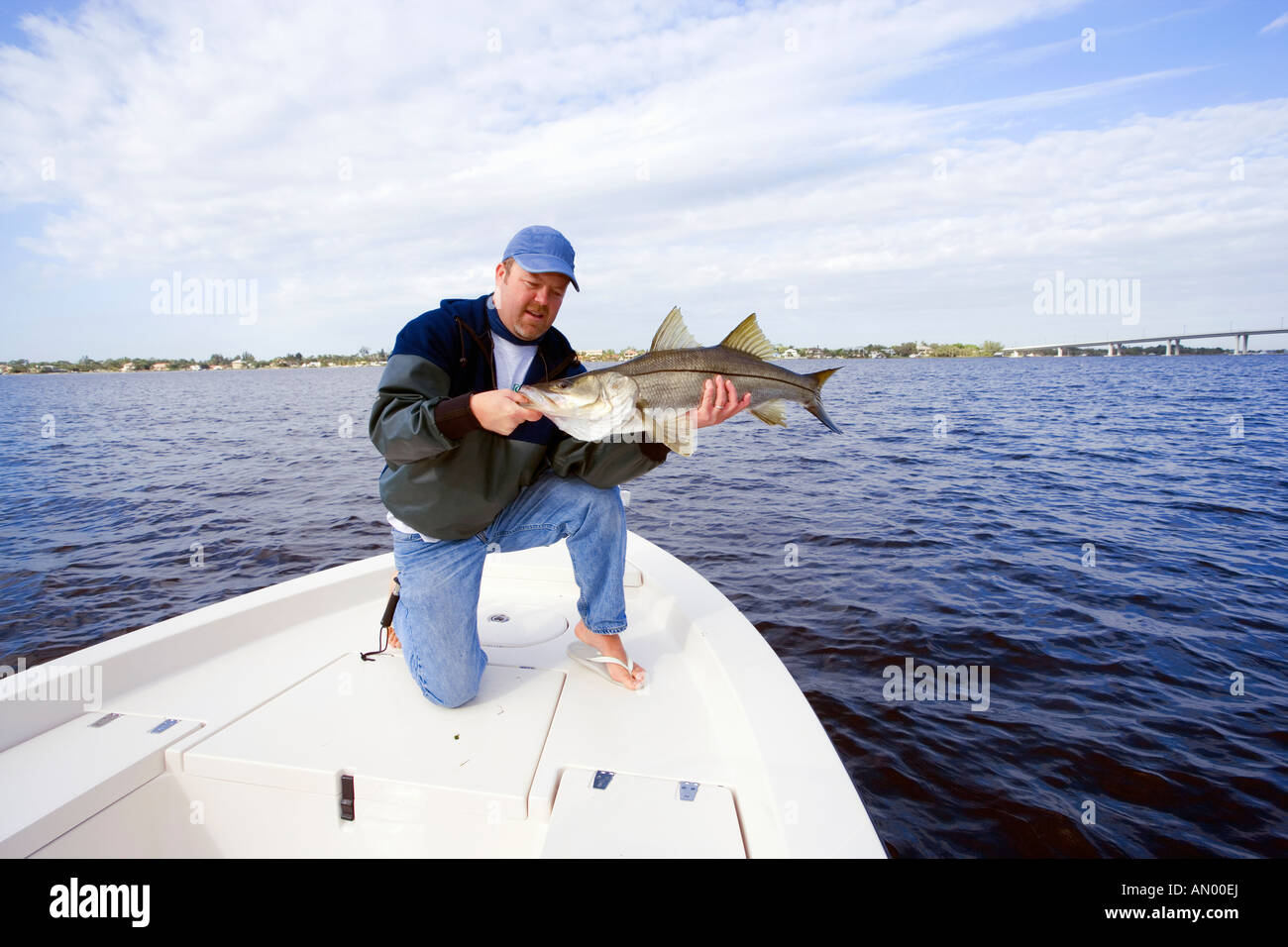 Man with freshly caught snook fish in Stuart, Florida, USA Stock Photo