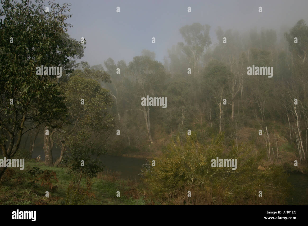 Sunrise early morning with fog Stock Photo - Alamy