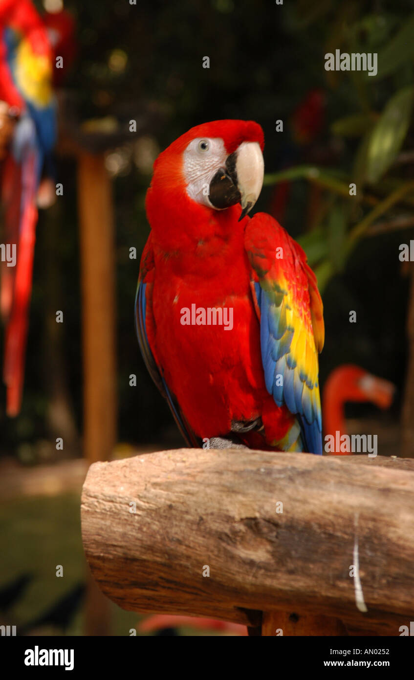 Mexico Mayan Riviera Stock Photo Alamy