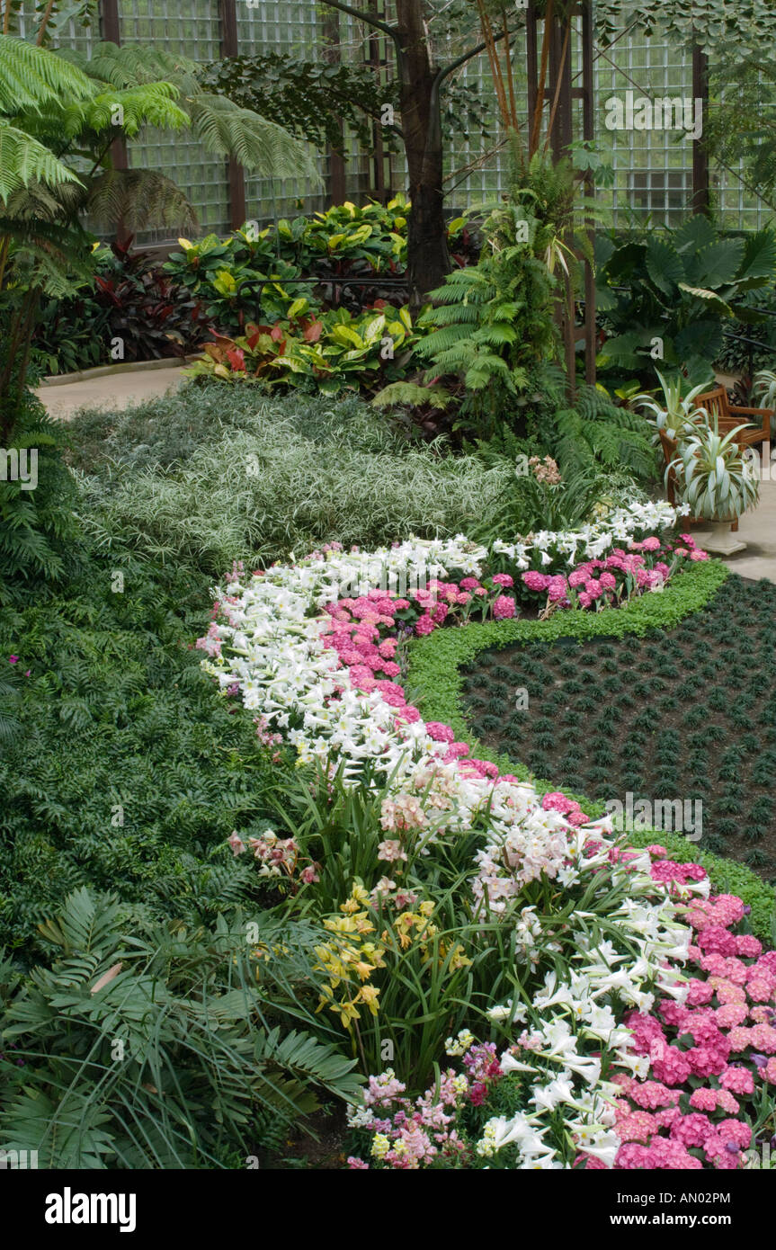 Rhododendron Rhododendron catawbiense Heath Family Ericaceae and Easter Lily Zephyranthes atamasco Amaryllis Family Amaryllidace Stock Photo