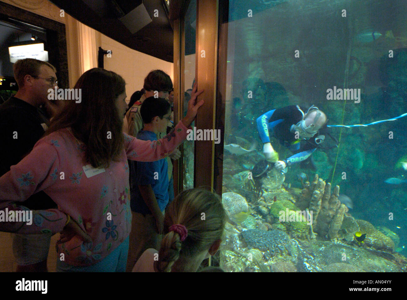 The John G. Shedd Aquarium in Chicago is one of the nation's oldest ...