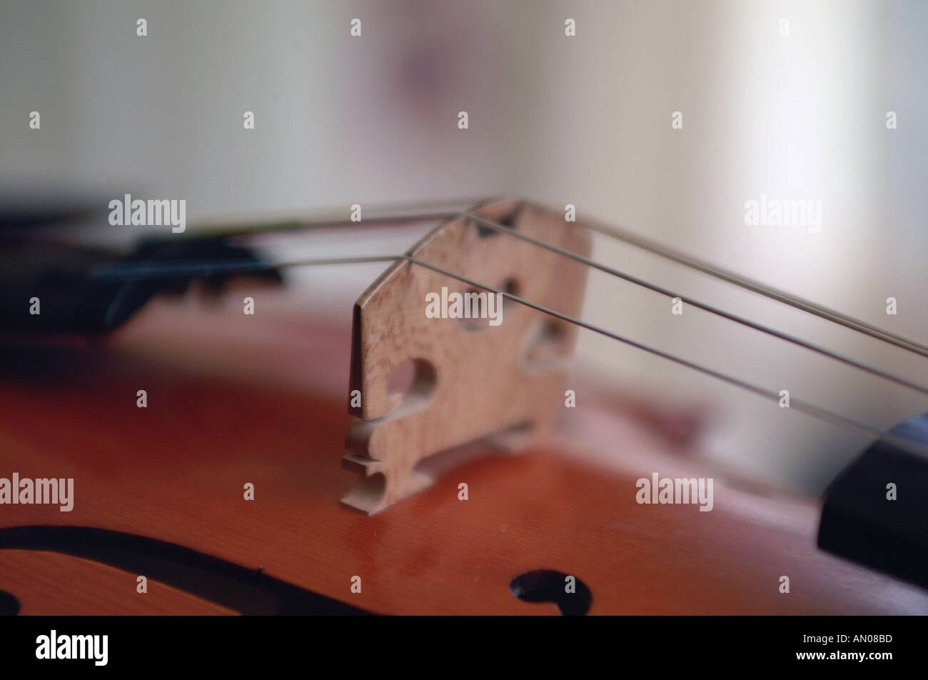 violin string sculptural quality Music bridge Stock Photo Alamy