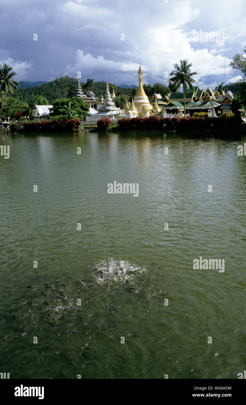 Thailand north thailand mae hong hi-res stock photography and images ...