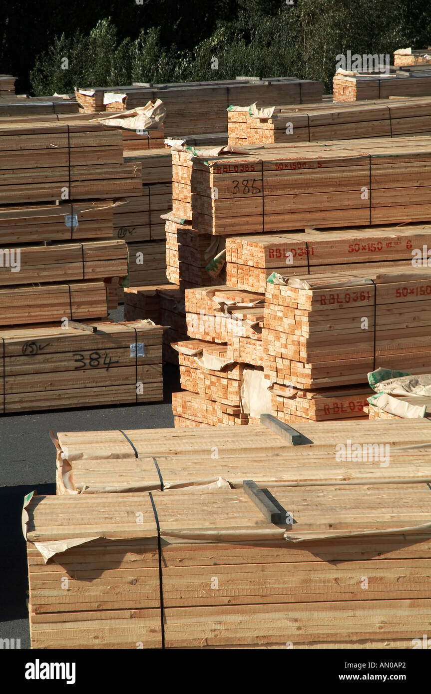 Timber, wood, lumber, yard, pine, tree, deforestation, forest, woods