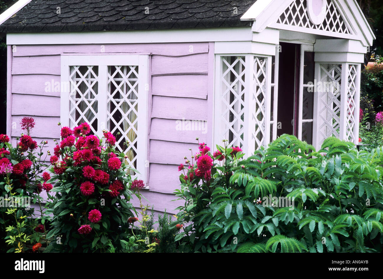 Painted Summerhouse, Dahlia 'Requiem' Stock Photo