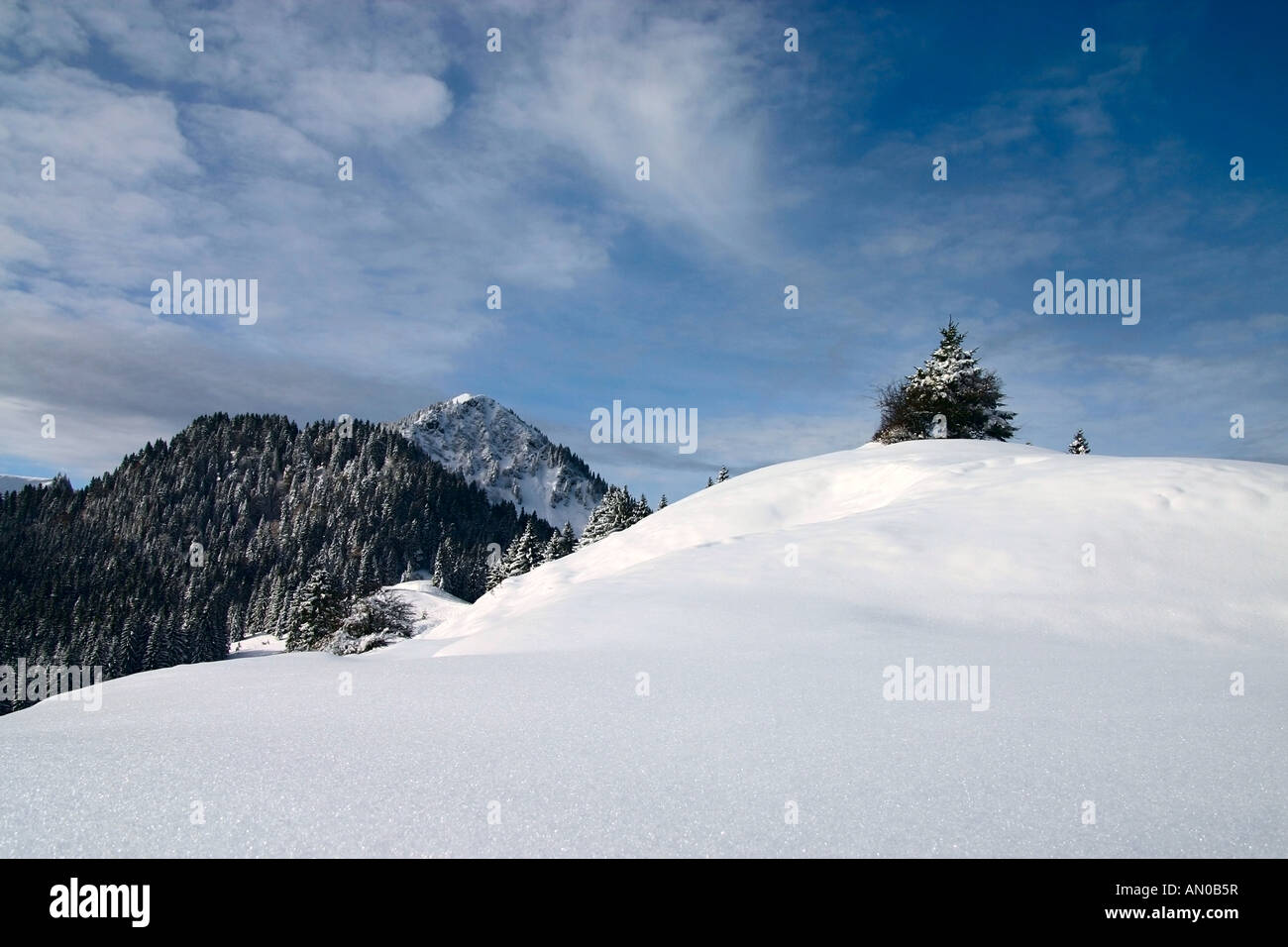 Ausblick auf winterliche Landschaft, verschneiter Gipfel des Fockensteins | view onto winterly landscape, snowy peak Falkenstein Stock Photo