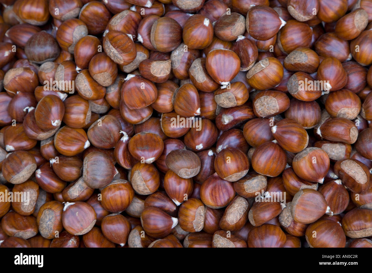 Chestnuts Castanea sativa for sale madeira november Stock Photo Alamy