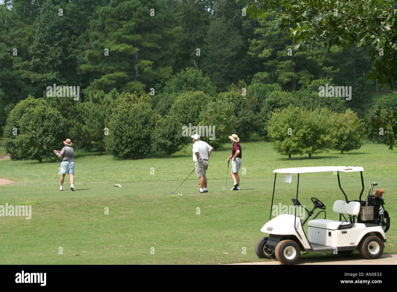 Alabama Madison County,Huntsville,Hampton Cove Golf Course,sport,athlete,recreation,game,landscape,design,golfing,skill,driving,putting,green,sand tra Stock Photo