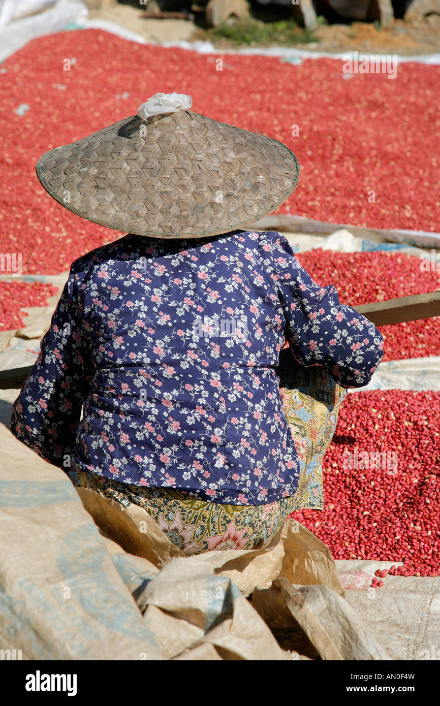 Traditional hat laos hi-res stock photography and images - Alamy