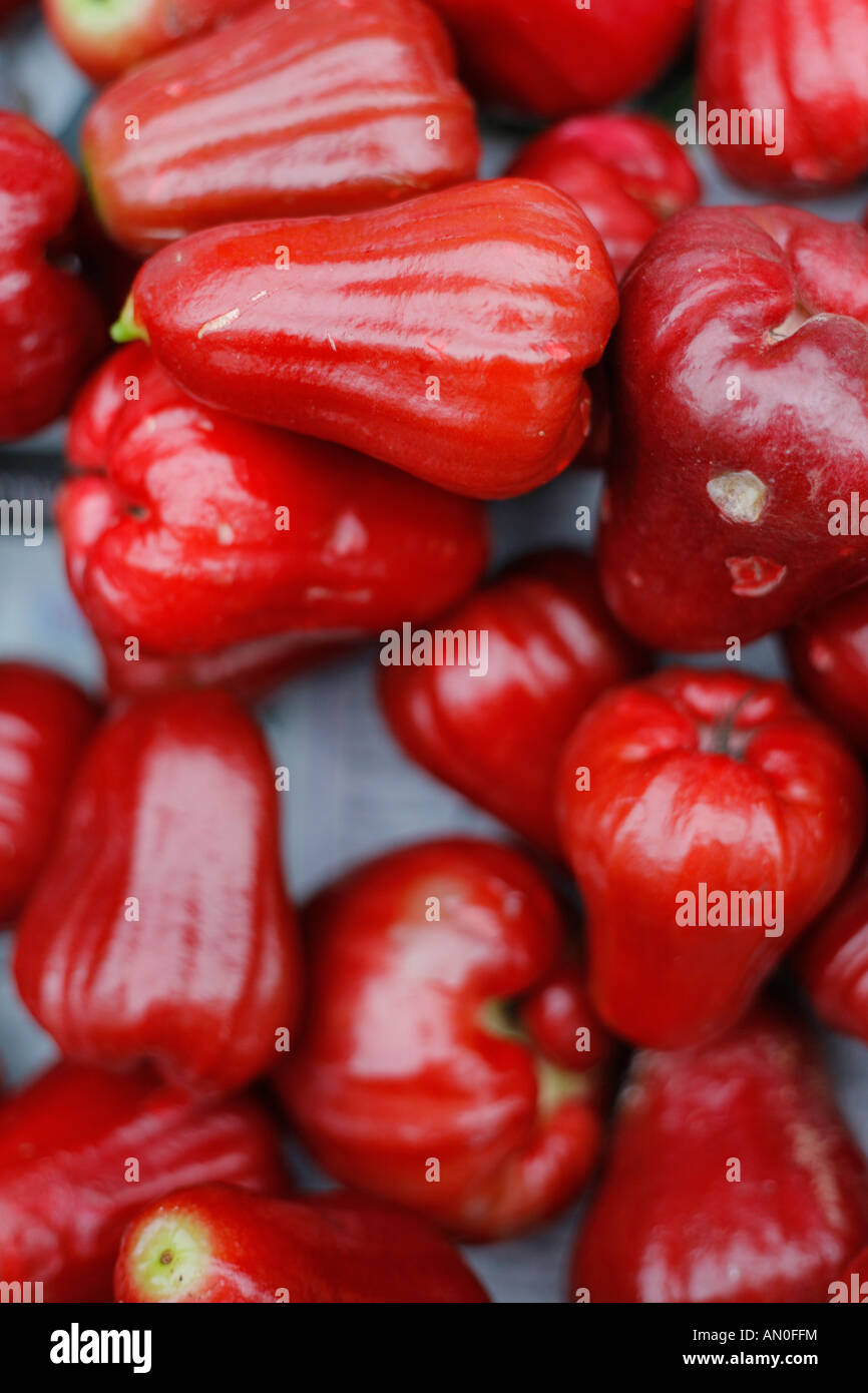 Close up of the Jambu Fruit, or Wax Apple, in a market in Luang Prabang, Laos Stock Photo
