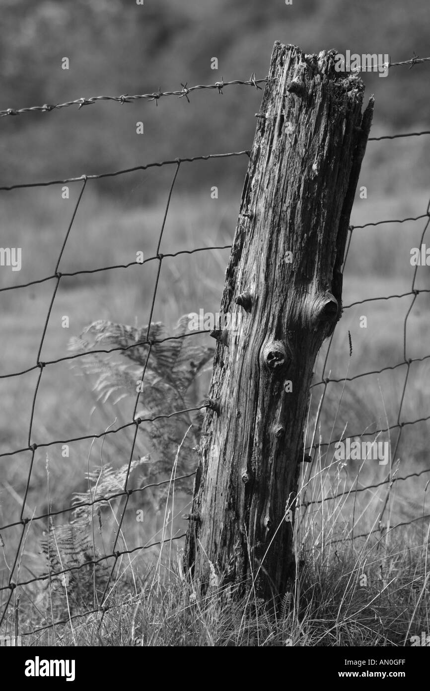 Old Fence Post Stock Photo