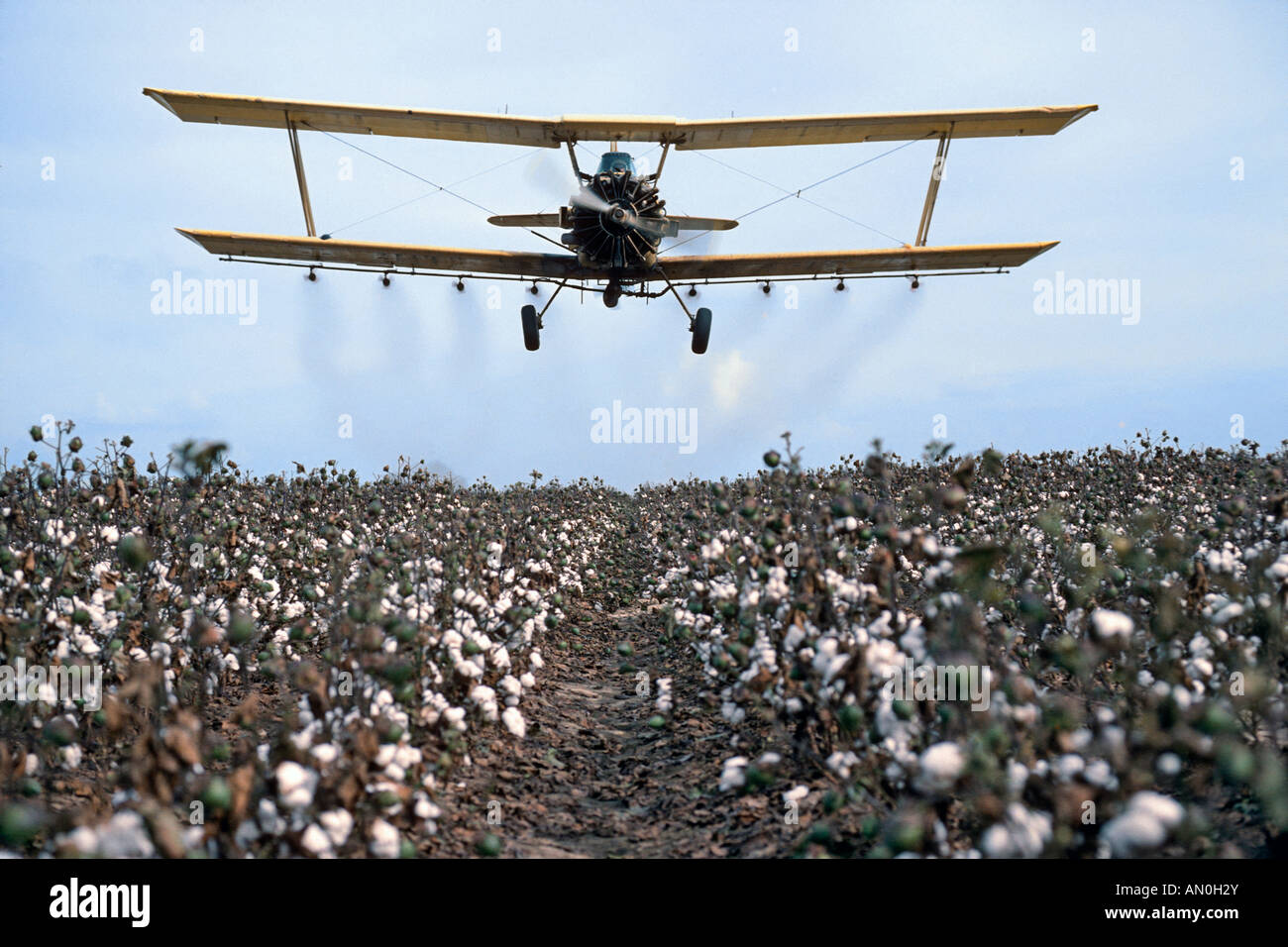 Crop duster spraying cotton crop in rural Arkansas USA Stock Photo Alamy