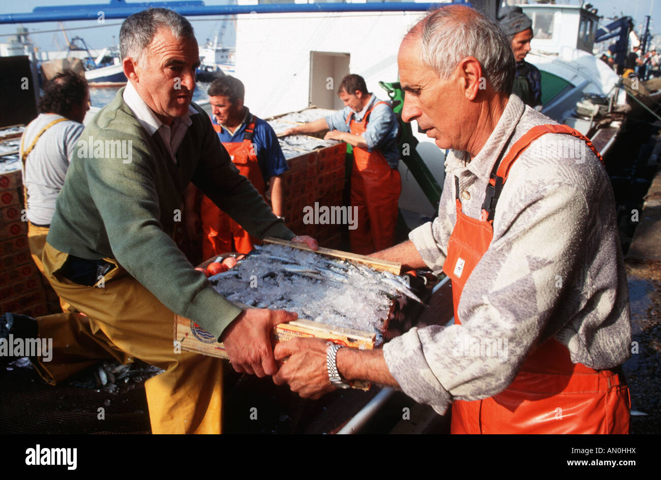 Spanish fishermen offloading their catch from fishing boat at Tarragona