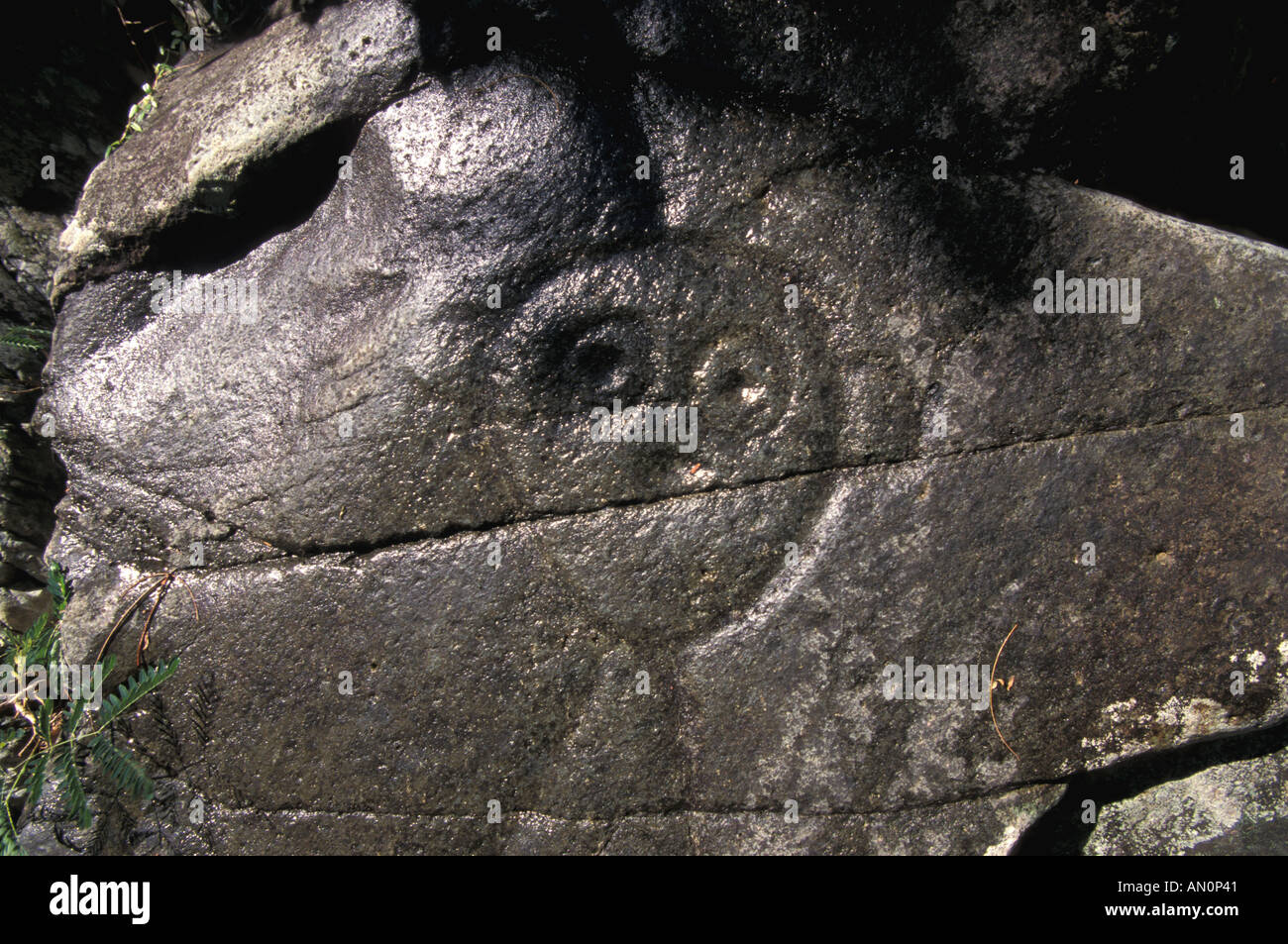 St John US United States Virgin Islands Petroglyph Pool Stock Photo Alamy