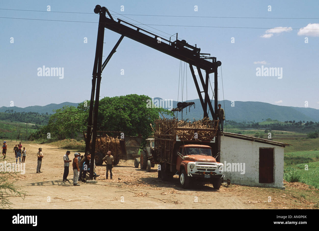 Sugar cane being loaded onto lorry. Cuba Stock Photo