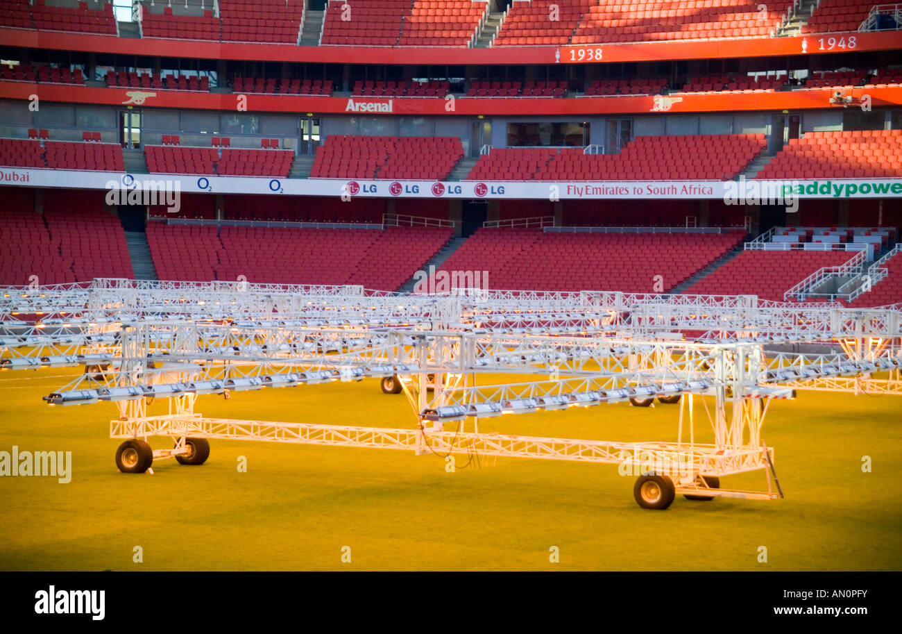 artificial light helping the grass grow Stock Photo Alamy