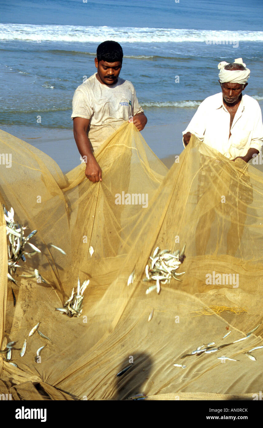 Fish labour hi-res stock photography and images - Alamy