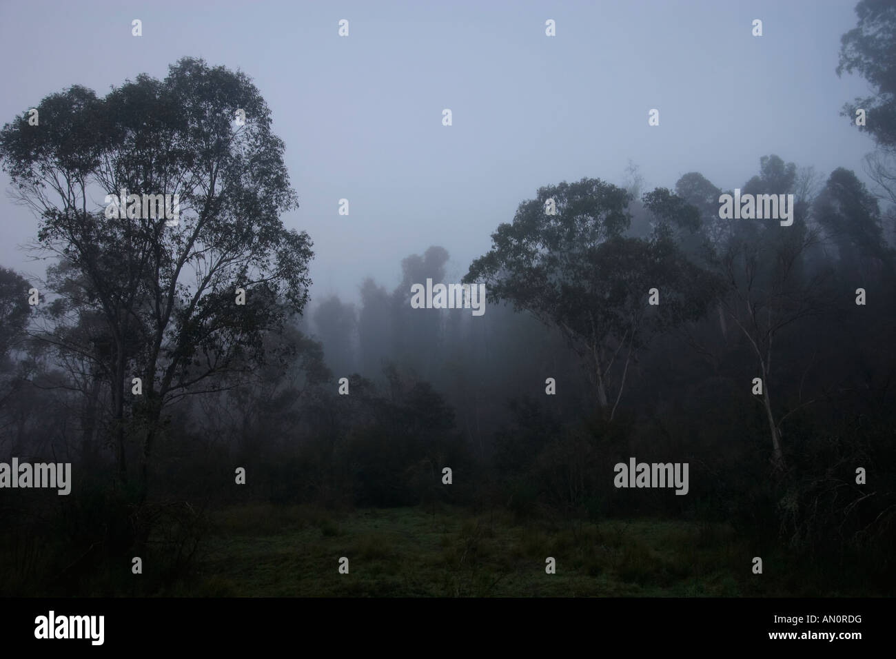 Sunrise early morning with fog Stock Photo - Alamy