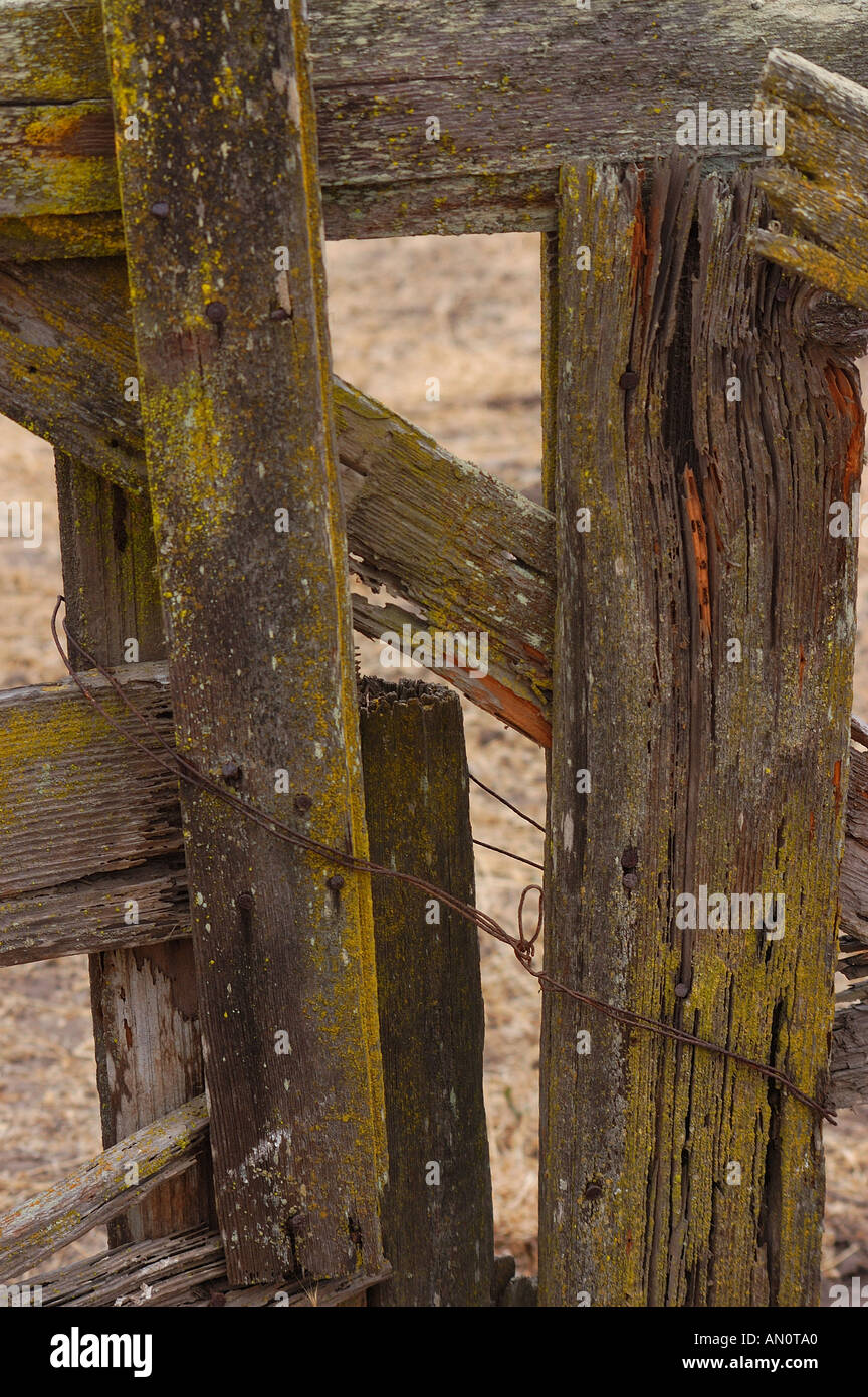 Texture old fence wooden hi-res stock photography and images - Alamy
