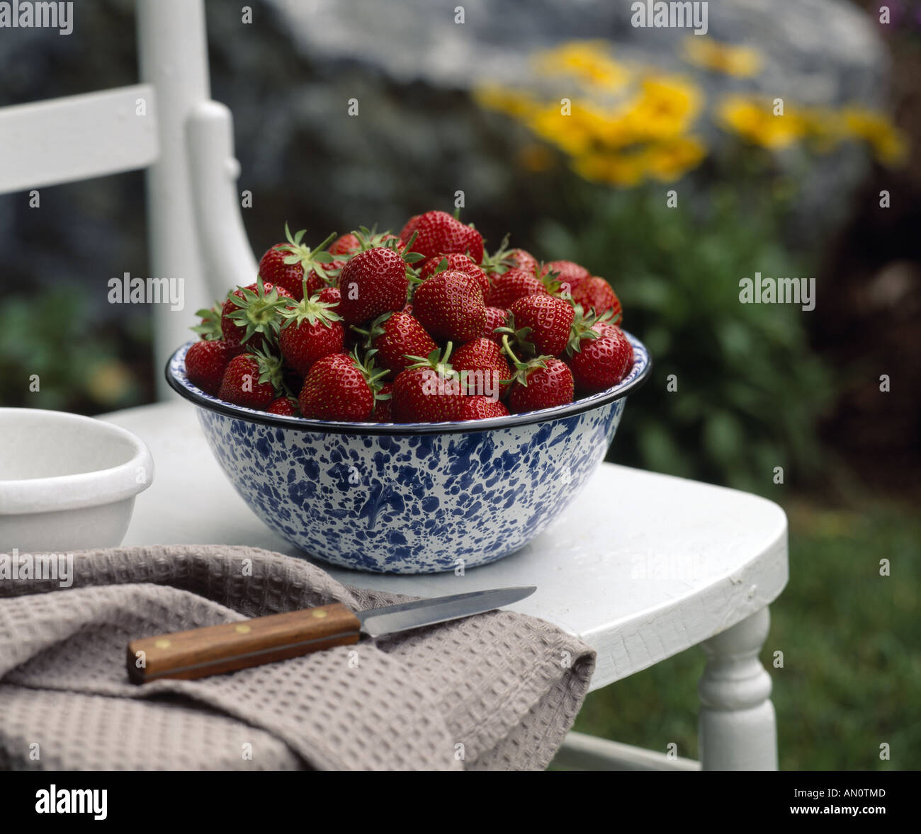 Old fashioned strawberries hi-res stock photography and images - Alamy