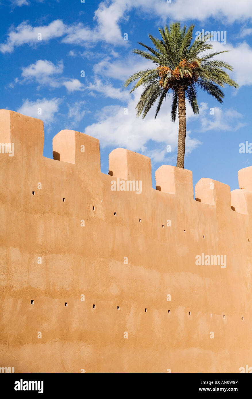 Toul Ramparts The wall of Taroudant, a section of ramparts topped by a palm tree ...