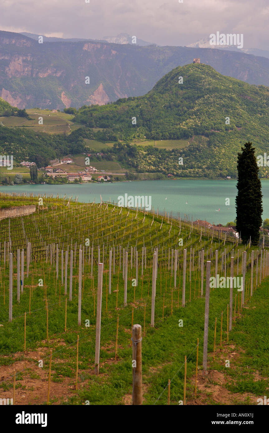 Vineyards and Lago di Caldaro, Italy, South Tirol, Sued Tirol, Europe, Europe 2006. Stock Photo